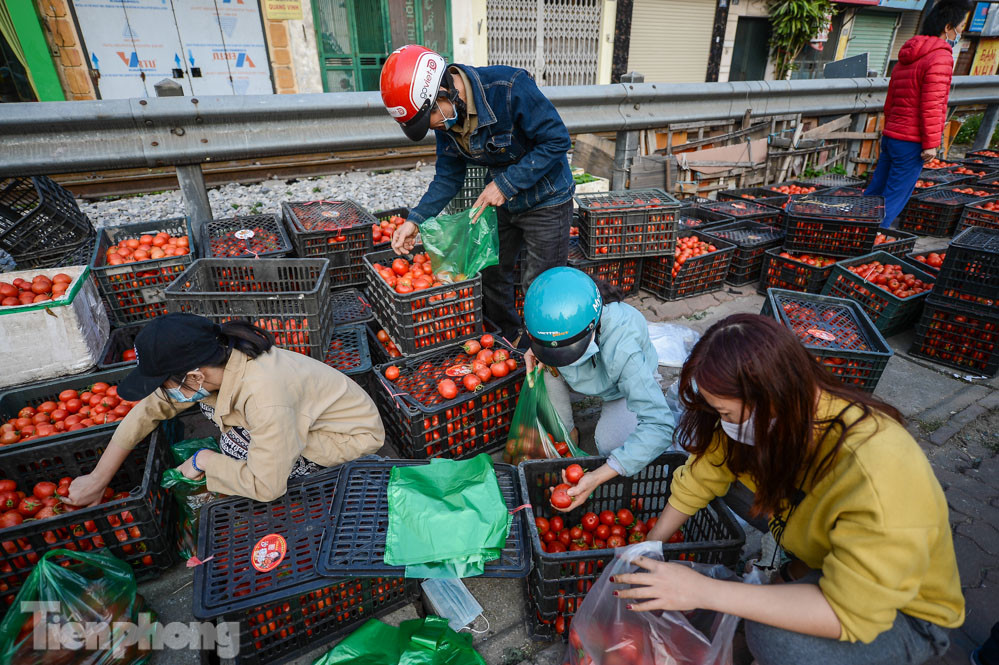 Người dân Thủ đô nườm nượp đến 'giải cứu' nông sản cho Hải Dương ảnh 9