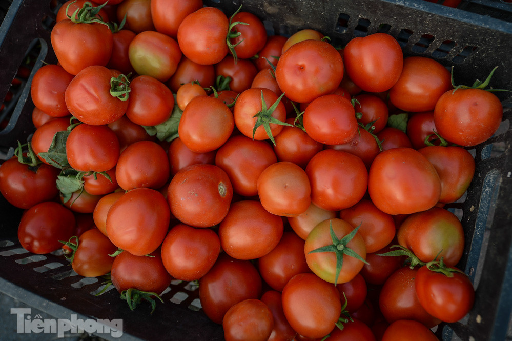 Người dân Thủ đô nườm nượp đến 'giải cứu' nông sản cho Hải Dương ảnh 4