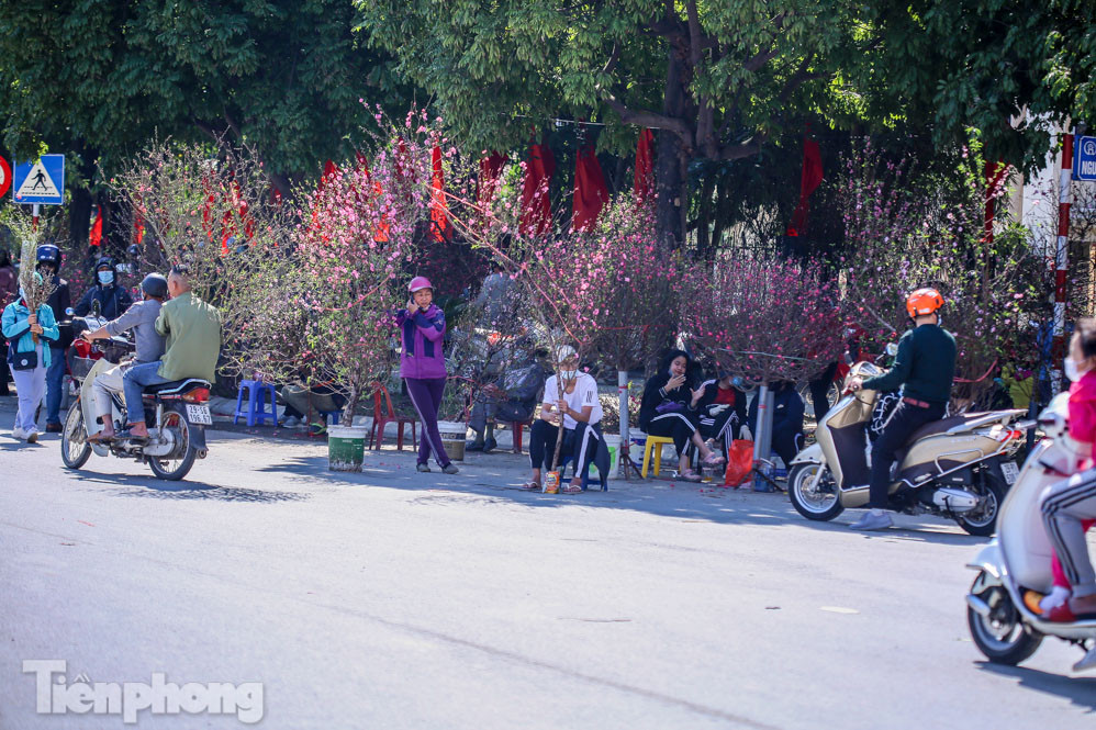 Nắng lên, tiểu thương 'ôm' đào quất ngóng người mua ảnh 16