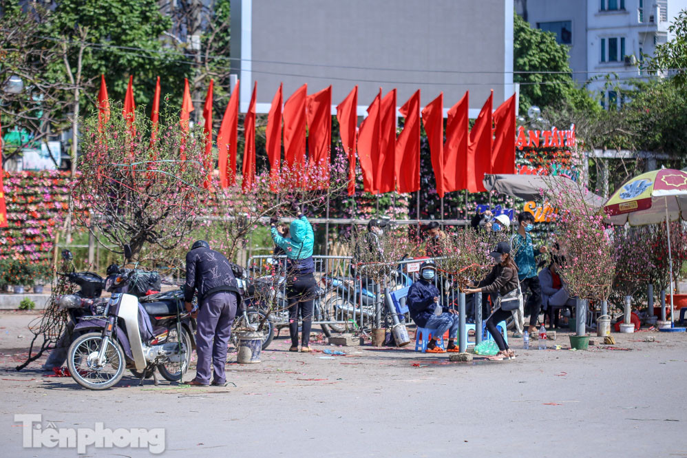 Nắng lên, tiểu thương 'ôm' đào quất ngóng người mua ảnh 14