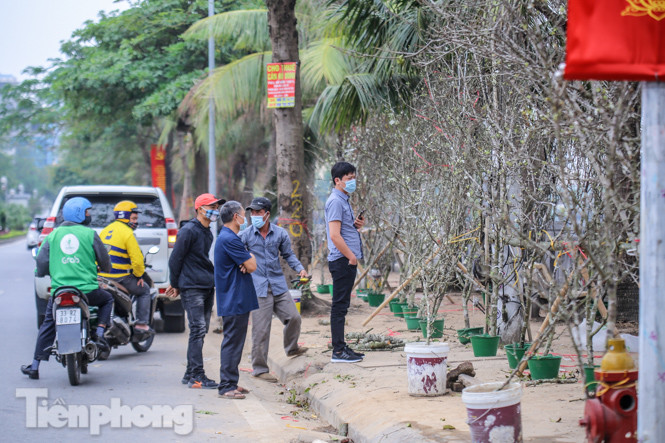 Người dân Hà Thành bỏ tiền triệu mua hoa lê chơi sau Tết ảnh 5