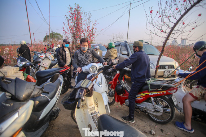 Đào bung nở, làng Nhật Tân nghẽn lối vào ngày cận Tết ảnh 7