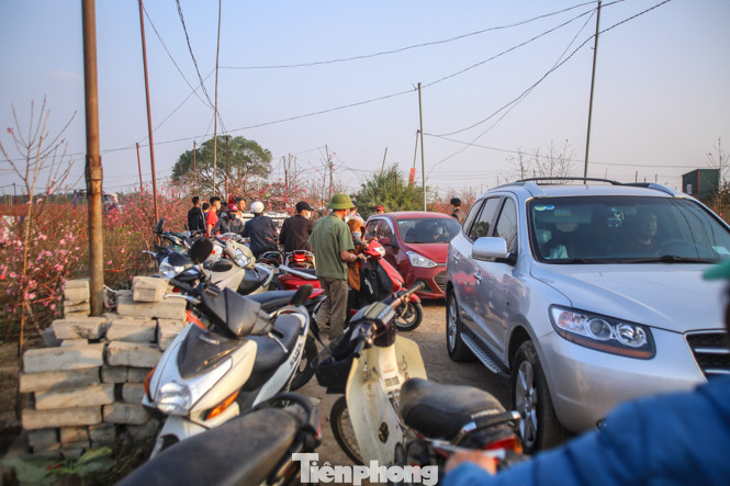 Đào bung nở, làng Nhật Tân nghẽn lối vào ngày cận Tết ảnh 8