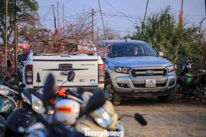 Đào bung nở, làng Nhật Tân nghẽn lối vào ngày cận Tết ảnh 10