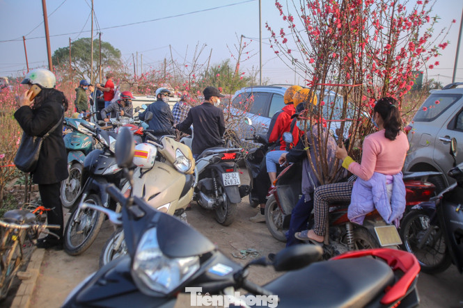 Đào bung nở, làng Nhật Tân nghẽn lối vào ngày cận Tết ảnh 9