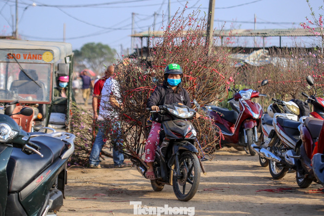 Đào bung nở, làng Nhật Tân nghẽn lối vào ngày cận Tết ảnh 5