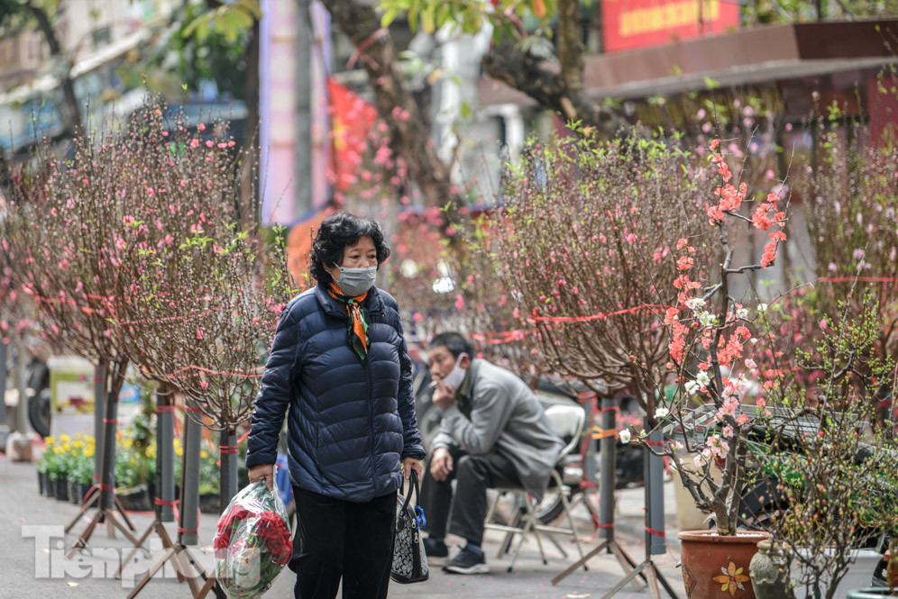 Ghé thăm chợ hoa cổ nhất Hà Nội giữa mùa dịch COVID-19 ảnh 9