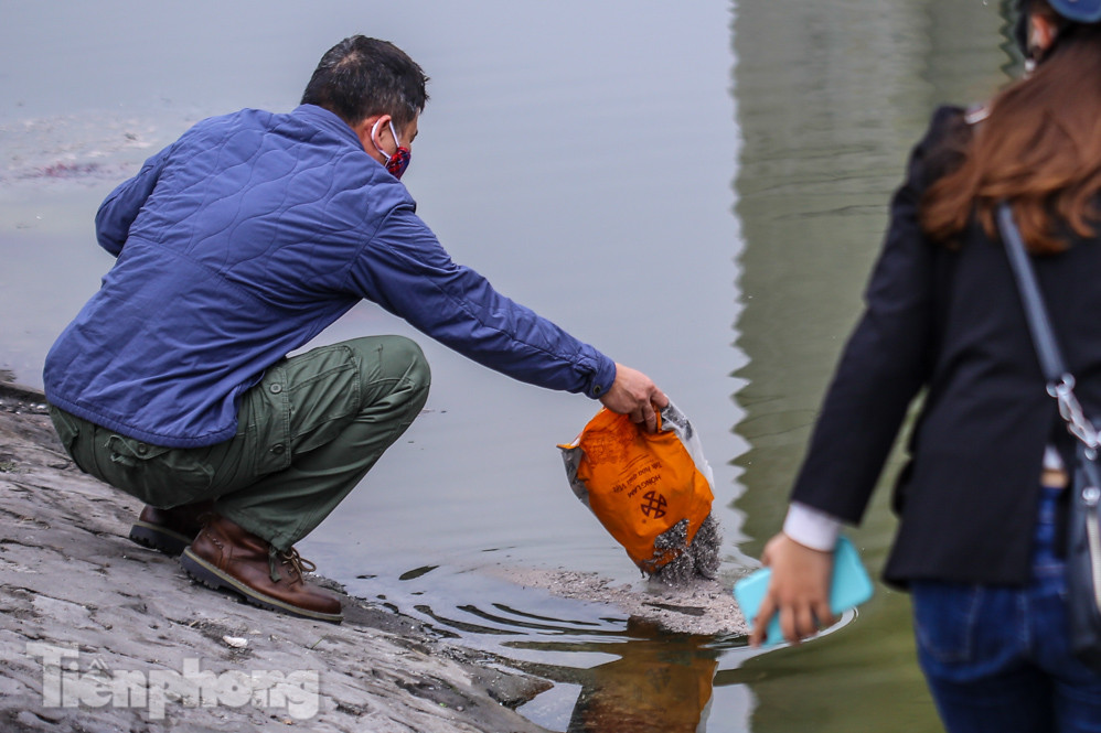Thả cùng tro bụi, cá chép phóng sinh chưa kịp 'chầu trời' đã lăn ra chết ảnh 8