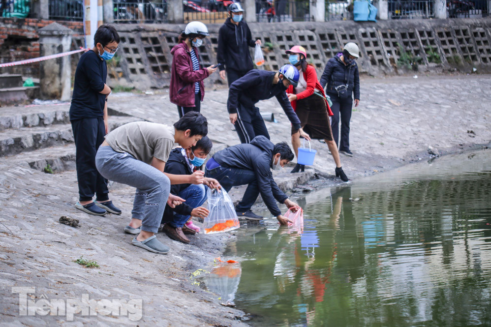 Thả cùng tro bụi, cá chép phóng sinh chưa kịp 'chầu trời' đã lăn ra chết ảnh 2