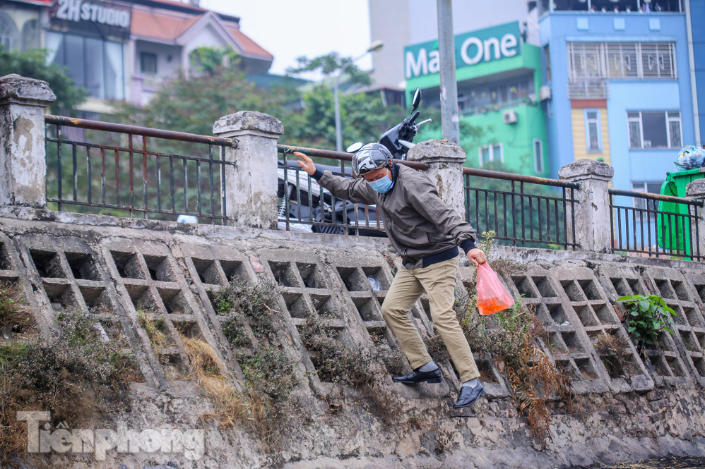 Thả cùng tro bụi, cá chép phóng sinh chưa kịp 'chầu trời' đã lăn ra chết ảnh 1