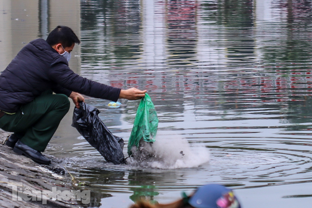 Thả cùng tro bụi, cá chép phóng sinh chưa kịp 'chầu trời' đã lăn ra chết ảnh 7
