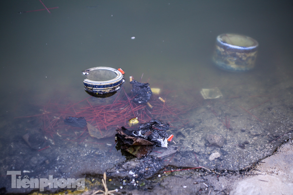 Thả cùng tro bụi, cá chép phóng sinh chưa kịp 'chầu trời' đã lăn ra chết ảnh 11
