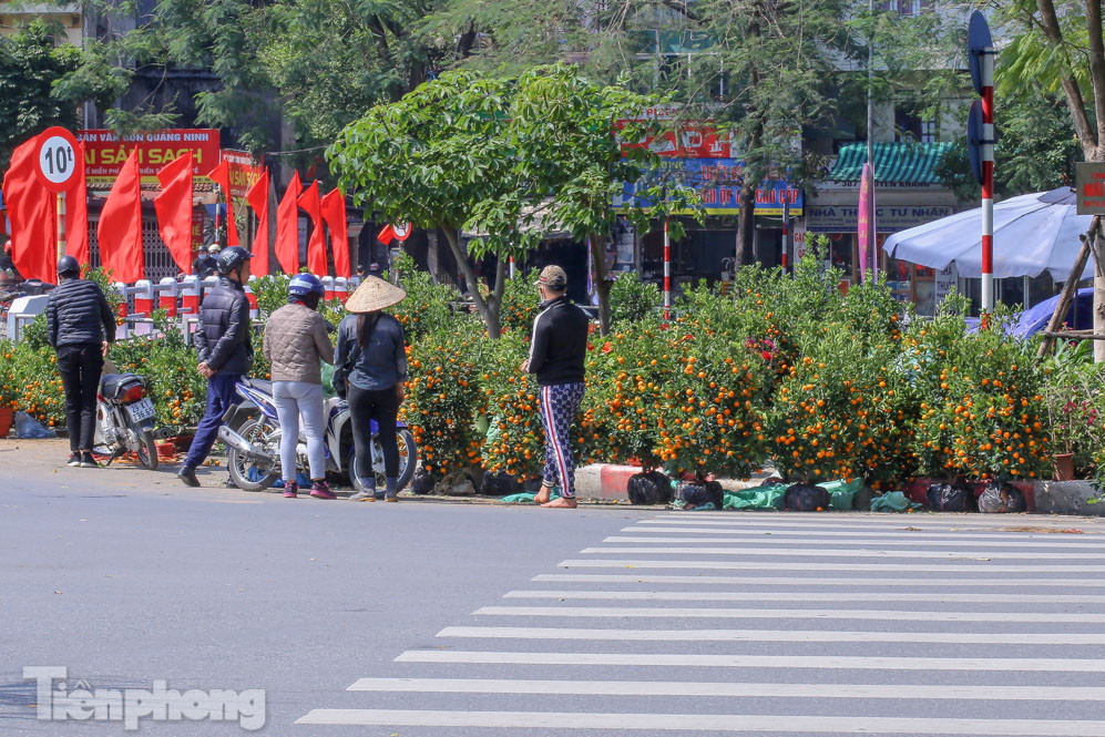 Nắng lên, tiểu thương 'ôm' đào quất ngóng người mua ảnh 8