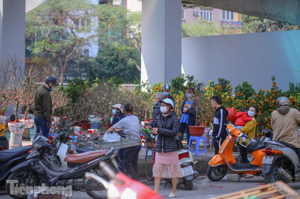 Nắng lên, tiểu thương 'ôm' đào quất ngóng người mua ảnh 3