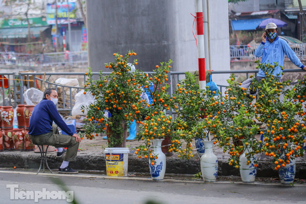 Nắng lên, tiểu thương 'ôm' đào quất ngóng người mua ảnh 1