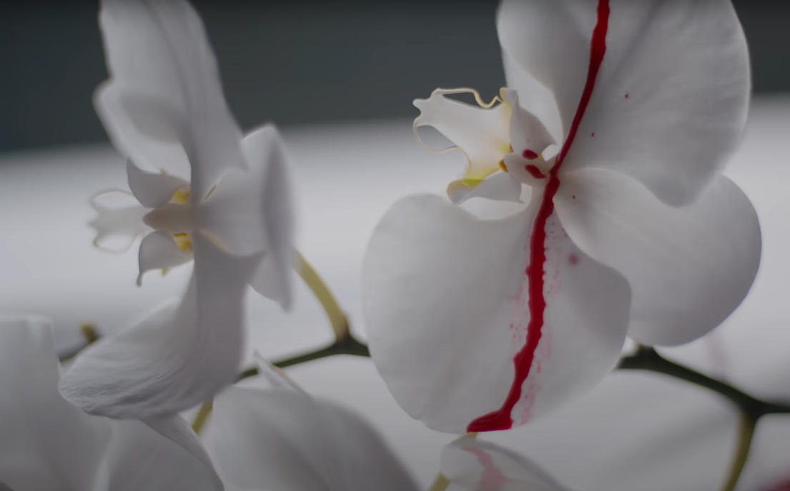 Giải mã loạt ẩn ý đằng sau những cảnh ngọt ngào của Gil Lê và nữ chính trong MV mới ảnh 2