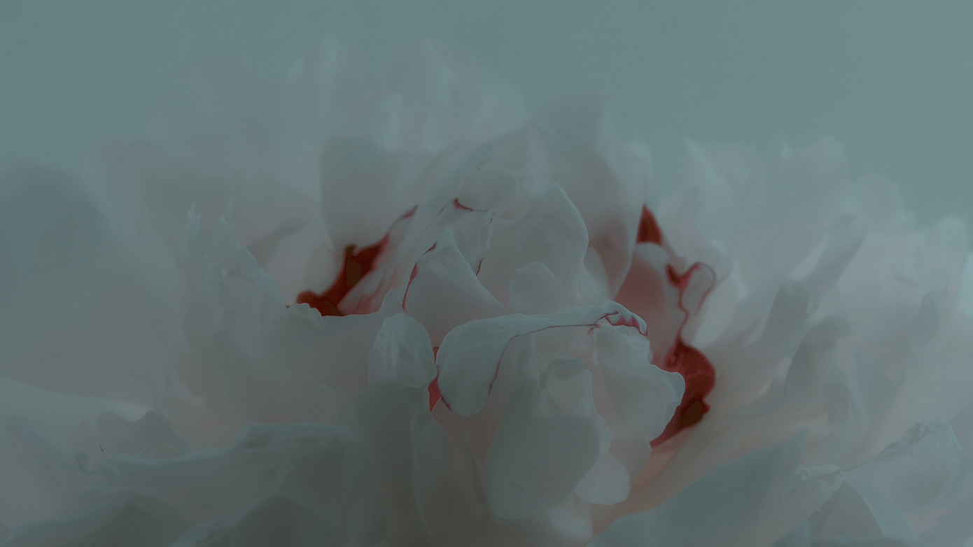 Sau loạt “thính” hoa hồng ngọt ngào, Sơn Tùng M-TP tung trailer MV đầy bí ẩn ảnh 3