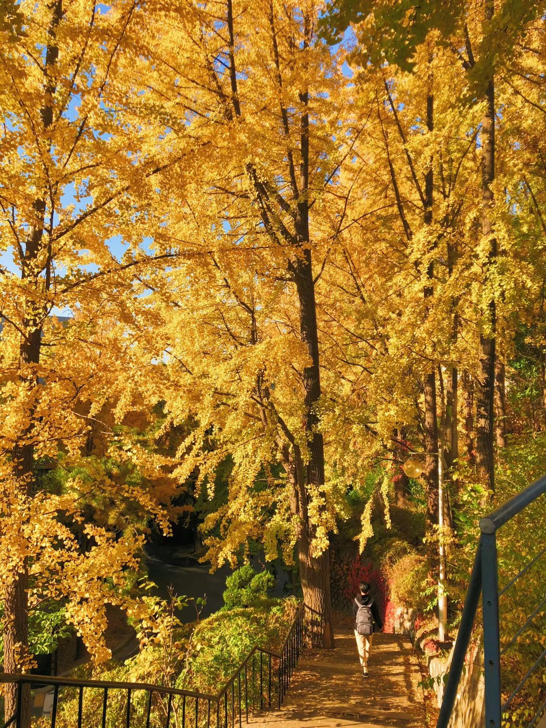 Đại học Ewha - cảnh đẹp như phim, thiên đường ẩm thực mê hoặc “team yêu Hàn Quốc” ảnh 8