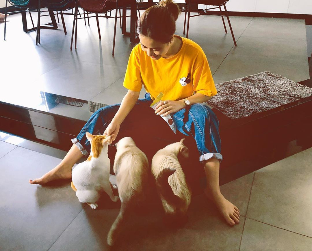 Sao Việt 24H: JSol ra mắt ca khúc tự sáng tác, Hoàng Thùy Linh đăng ảnh cùng thú cưng ảnh 8