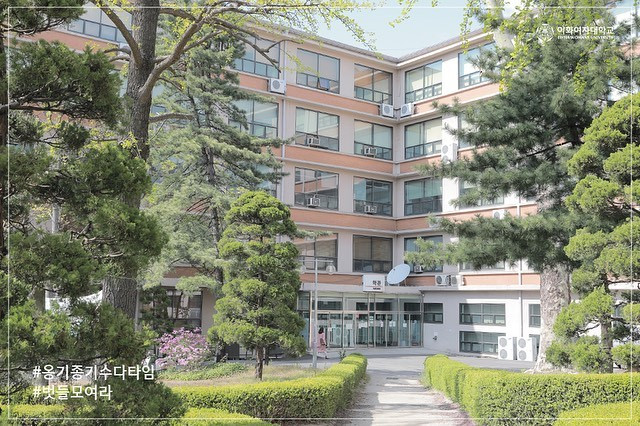 Đại học Ewha - cảnh đẹp như phim, thiên đường ẩm thực mê hoặc “team yêu Hàn Quốc” ảnh 6