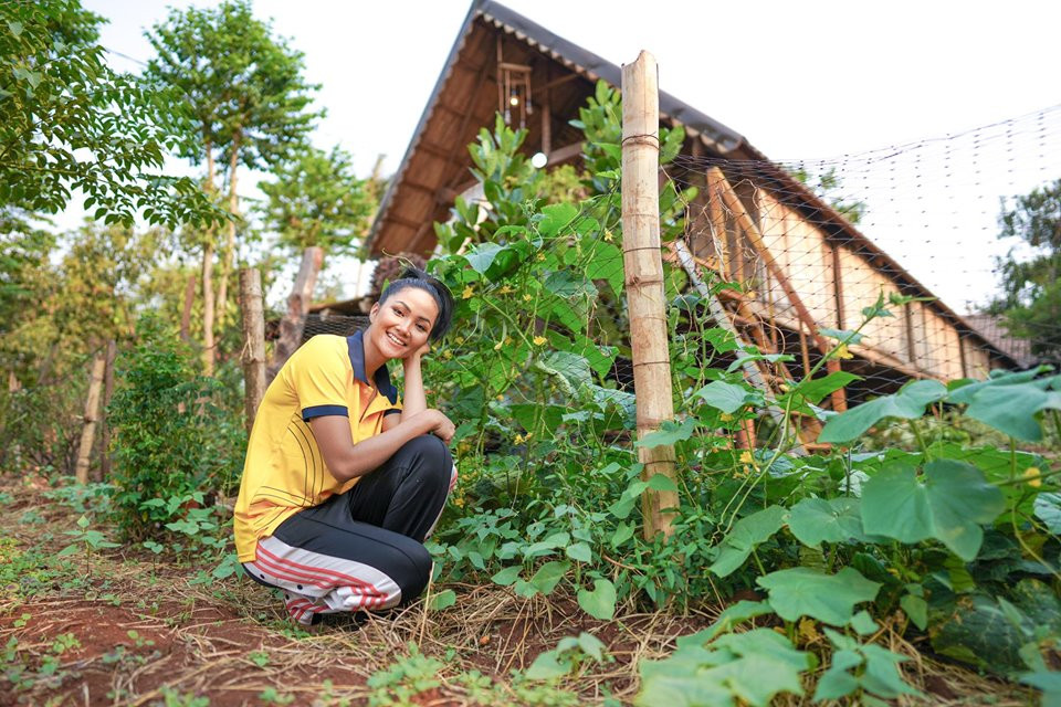 Sao Việt 24H: H'Hen Niê khoe vườn rau của gia đình, Đông Nhi làm bánh mừng sinh nhật FC ảnh 4