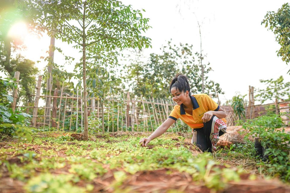 Sao Việt 24H: H'Hen Niê khoe vườn rau của gia đình, Đông Nhi làm bánh mừng sinh nhật FC ảnh 3