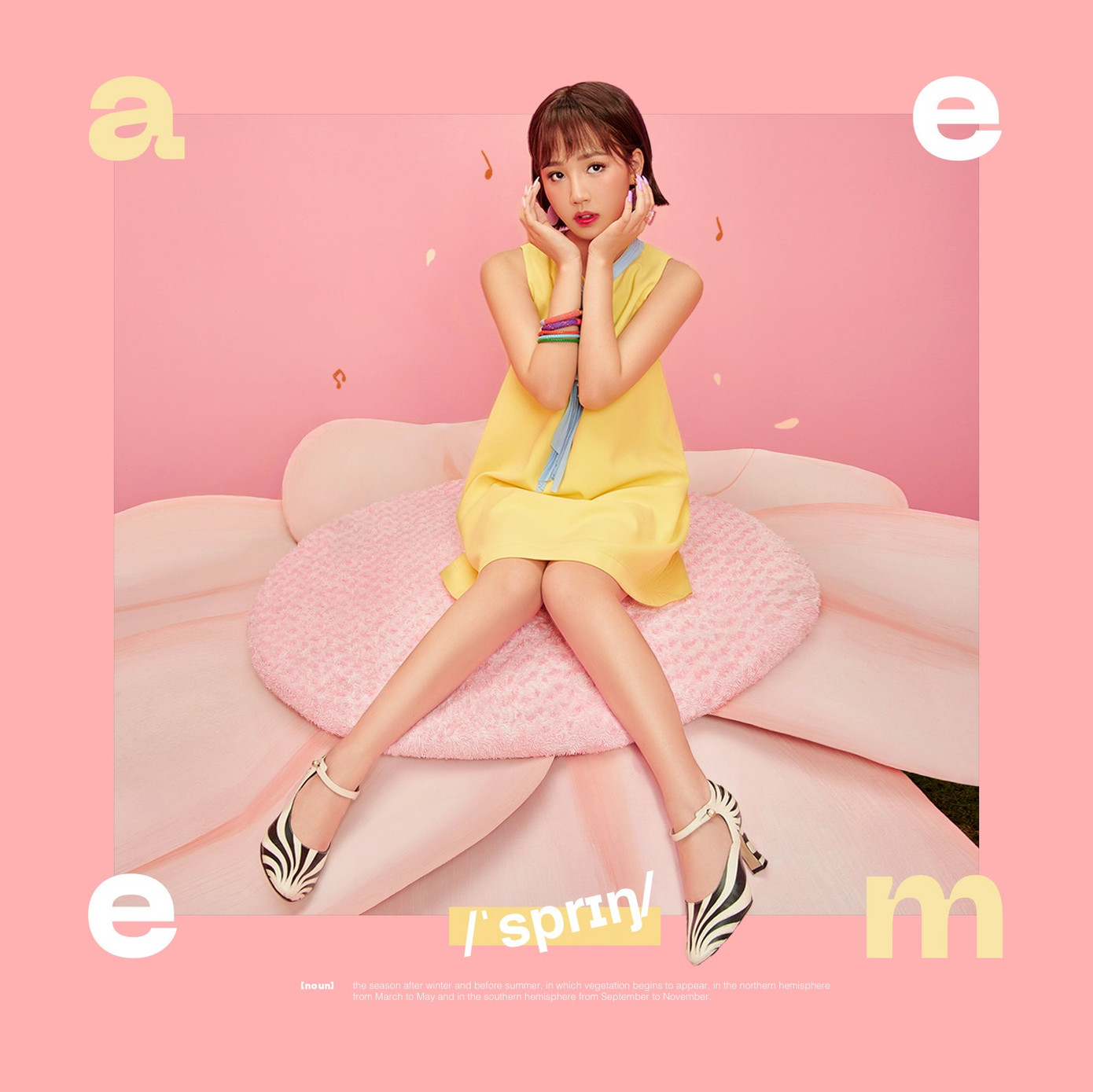 Album vật lý của AMEE có thiết kế đẹp không thua K-Pop, giá bán nghe qua còn “choáng” hơn ảnh 1