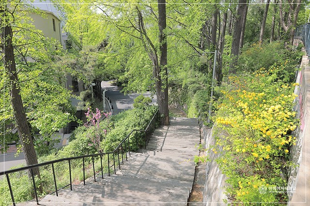 Đại học Ewha - cảnh đẹp như phim, thiên đường ẩm thực mê hoặc “team yêu Hàn Quốc” ảnh 7