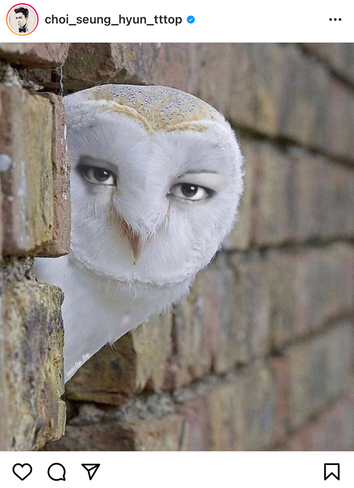 Truy tìm danh tính “cô gái” được T.O.P theo dõi, hóa ra lại chính là “sao ngoại quốc” đình đám ảnh 4