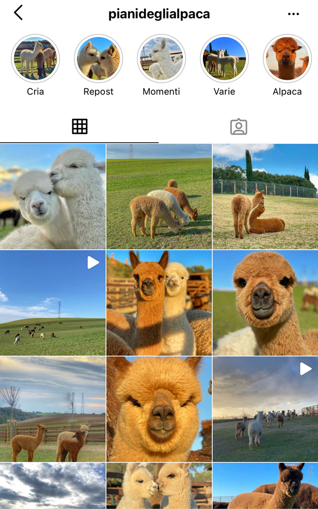 Truy tìm danh tính “cô gái” được T.O.P theo dõi, hóa ra lại chính là “sao ngoại quốc” đình đám ảnh 2