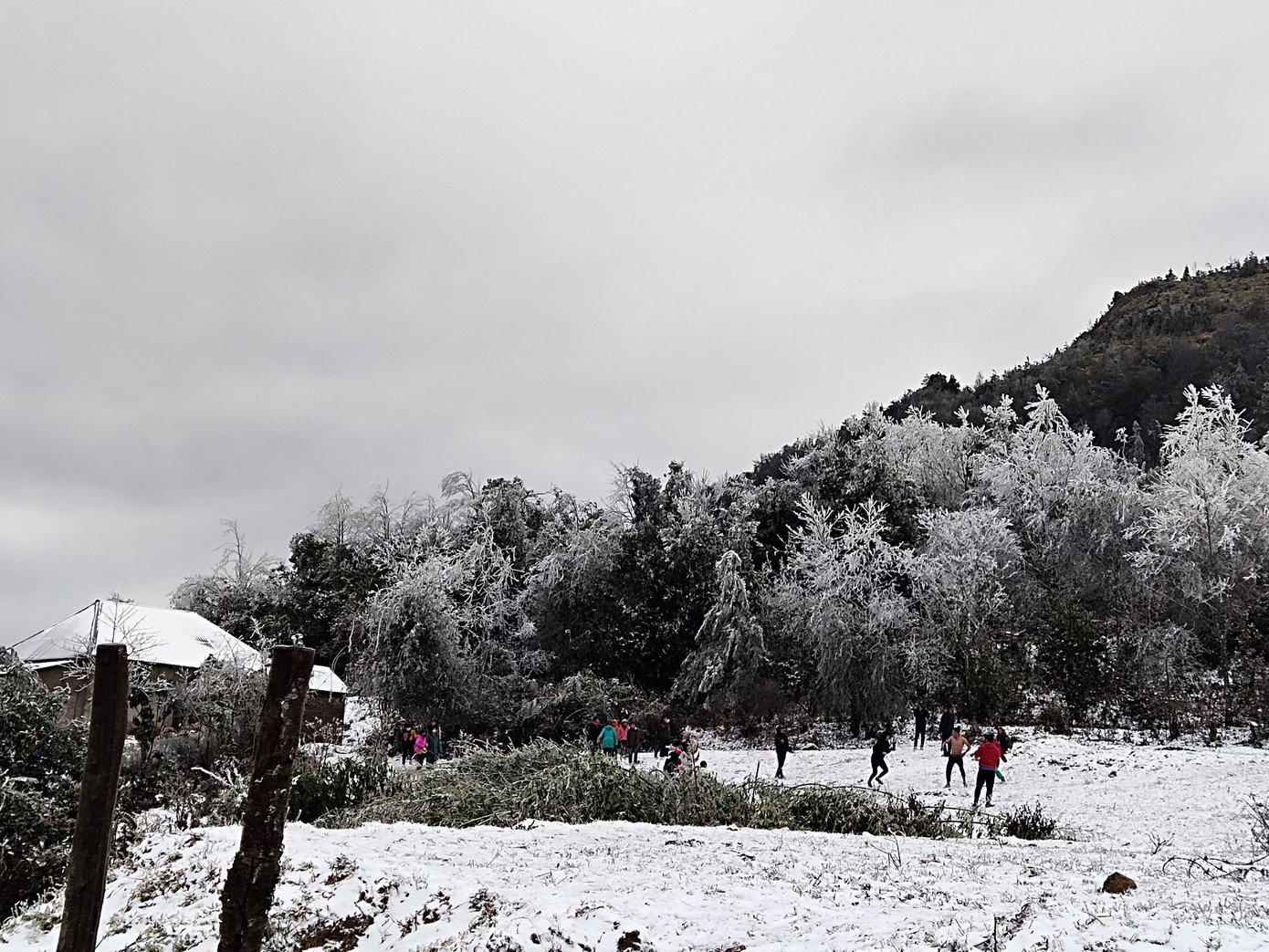 Băng tuyết phủ trắng Y Tý và đèo Ô Quy Hồ ảnh 12