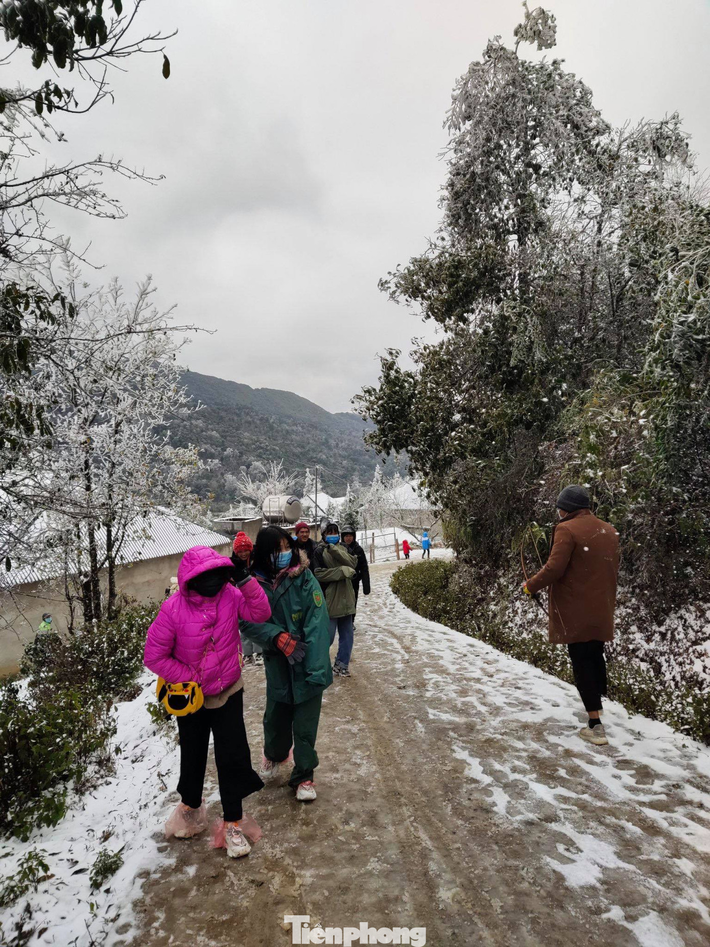 Băng tuyết phủ trắng Y Tý và đèo Ô Quy Hồ ảnh 11