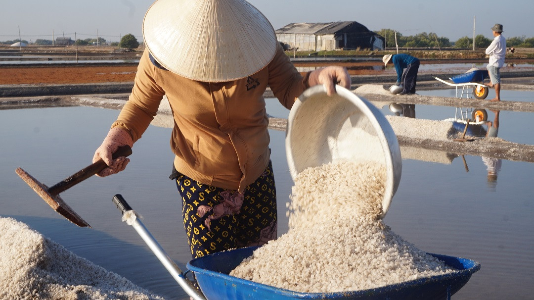 Cận cảnh 'nghề gieo nước biển' đầu năm ở phương Nam ảnh 9