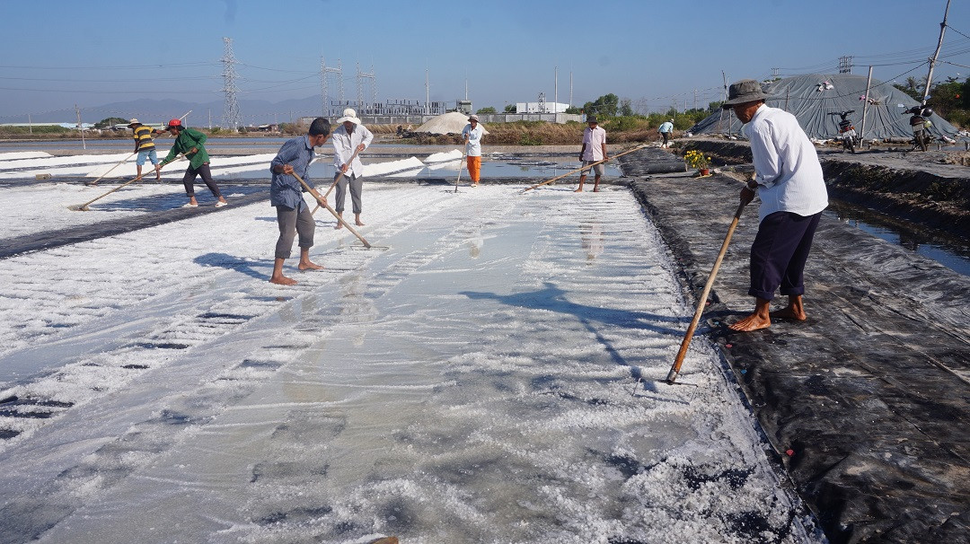 Cận cảnh 'nghề gieo nước biển' đầu năm ở phương Nam ảnh 3