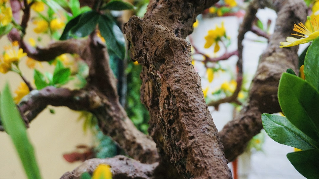 Độc đáo cây mai 'khủng' được tạo nên từ 35kg đất sét ảnh 6