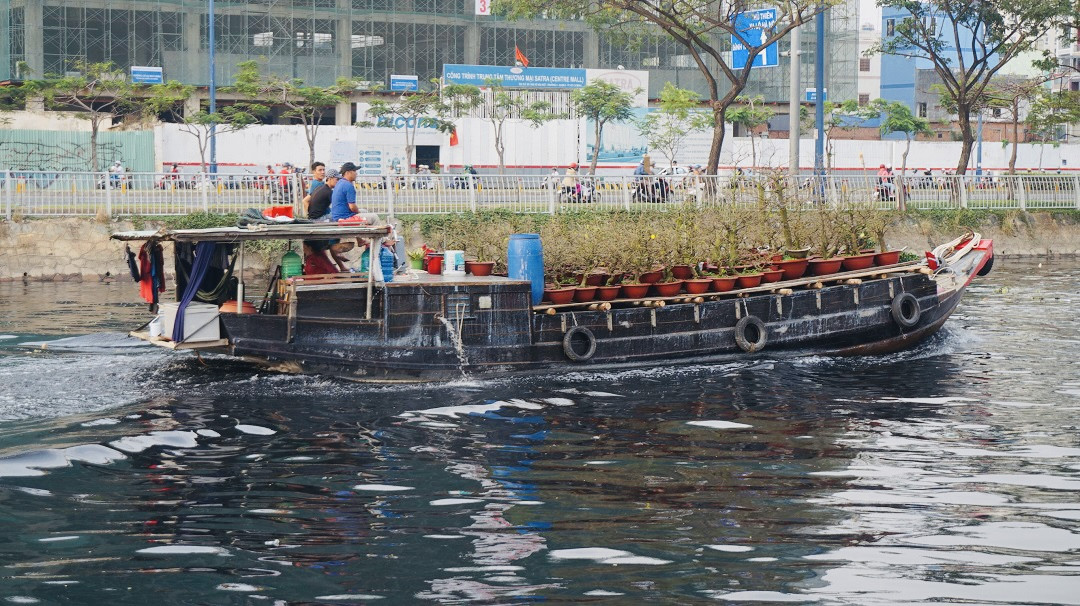 Sôi động cảnh hoa Tết miền Tây theo ghe lên thành phố ảnh 1