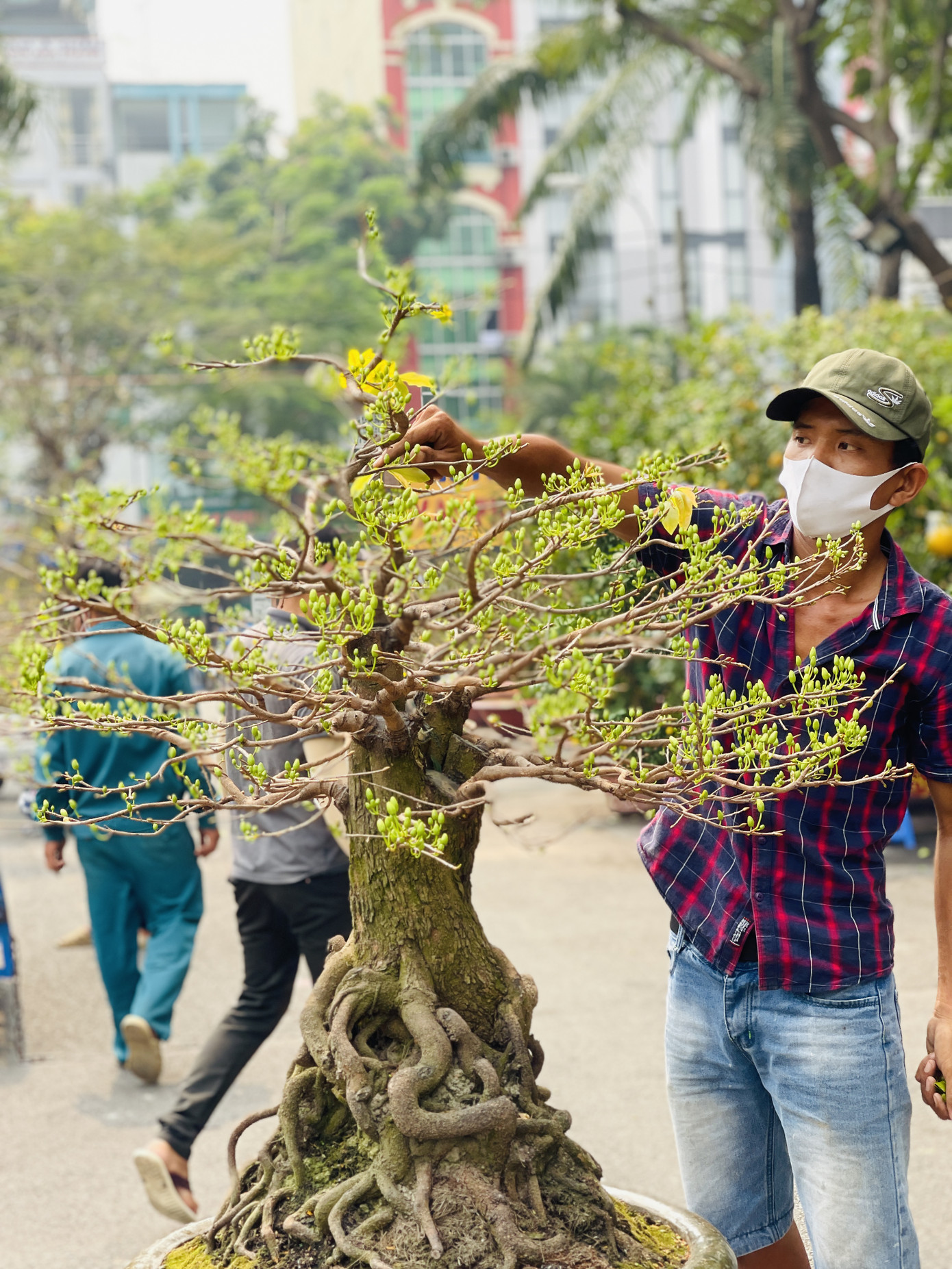 Chợ hoa lớn nhất Sài Gòn vắng khách ngày cận Tết ảnh 8