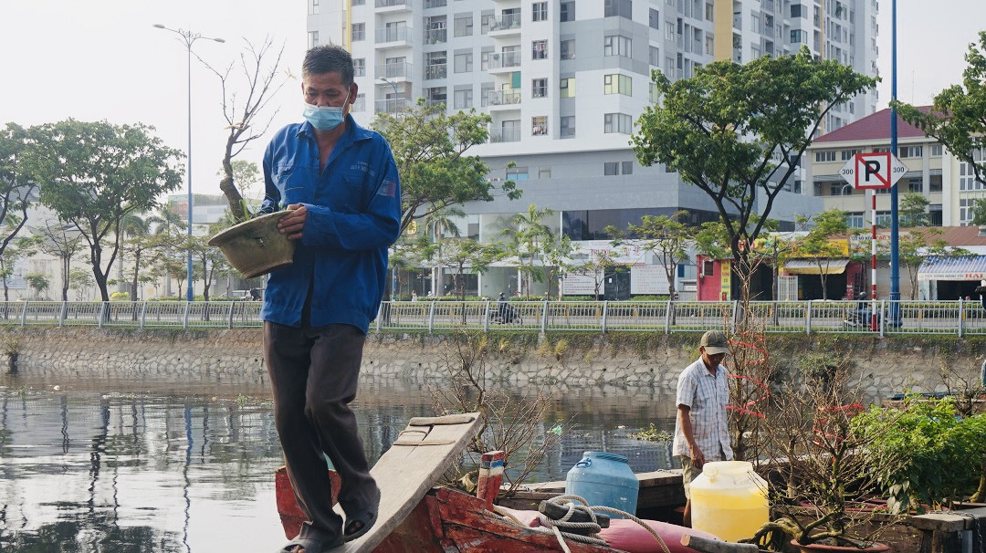 Sôi động cảnh hoa Tết miền Tây theo ghe lên thành phố ảnh 4