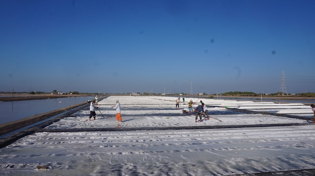 Cận cảnh 'nghề gieo nước biển' đầu năm ở phương Nam ảnh 4