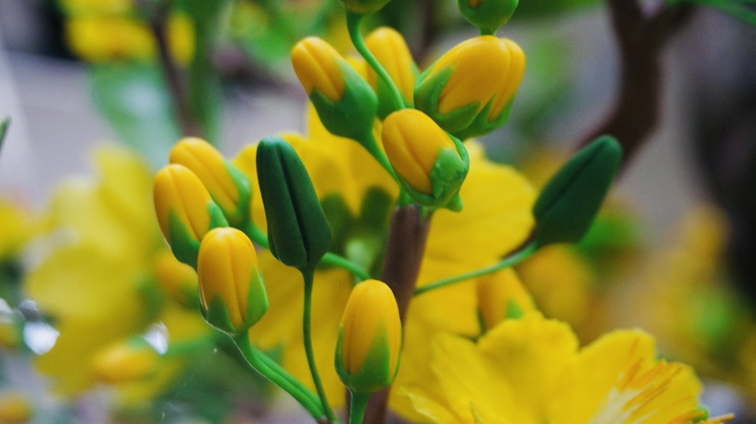 Độc đáo cây mai 'khủng' được tạo nên từ 35kg đất sét ảnh 3