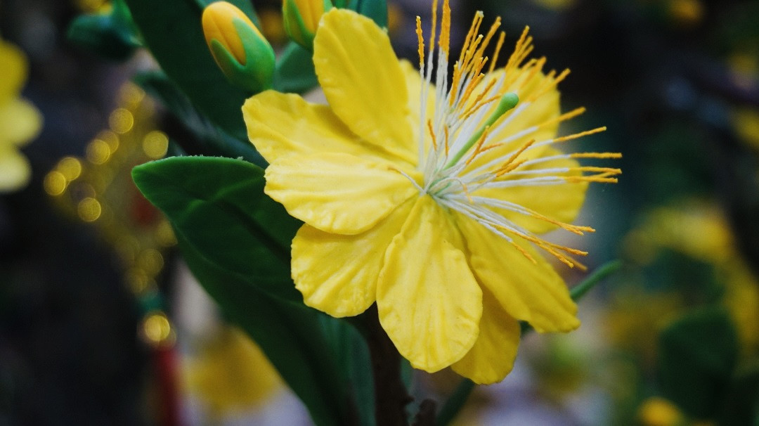 Độc đáo cây mai 'khủng' được tạo nên từ 35kg đất sét ảnh 5