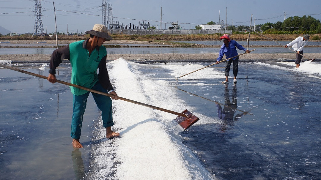 Cận cảnh 'nghề gieo nước biển' đầu năm ở phương Nam ảnh 6