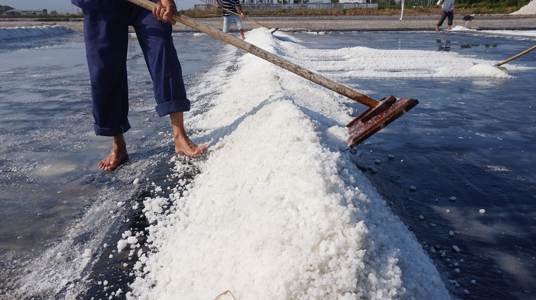 Cận cảnh 'nghề gieo nước biển' đầu năm ở phương Nam ảnh 8