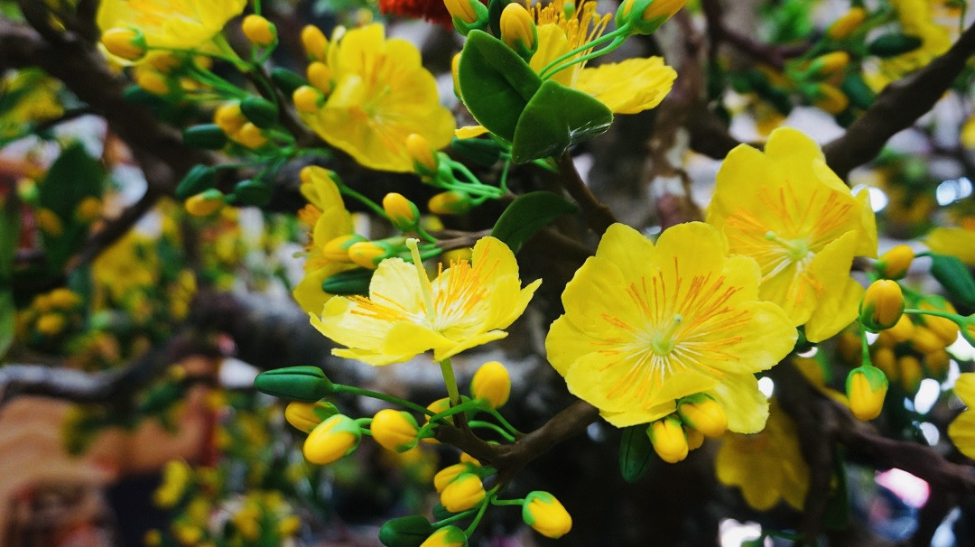 Độc đáo cây mai 'khủng' được tạo nên từ 35kg đất sét ảnh 4