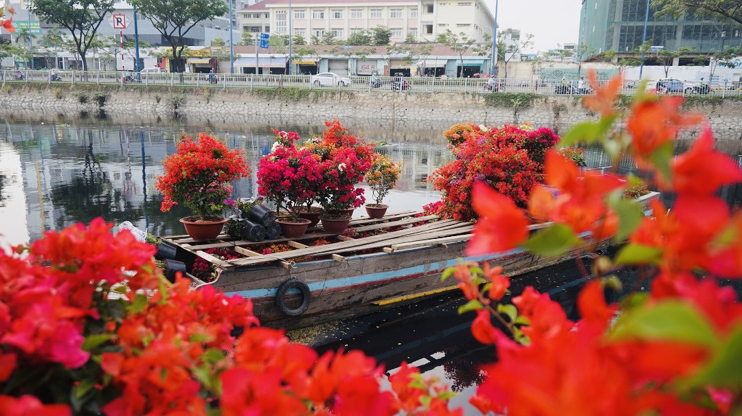 Sôi động cảnh hoa Tết miền Tây theo ghe lên thành phố ảnh 16