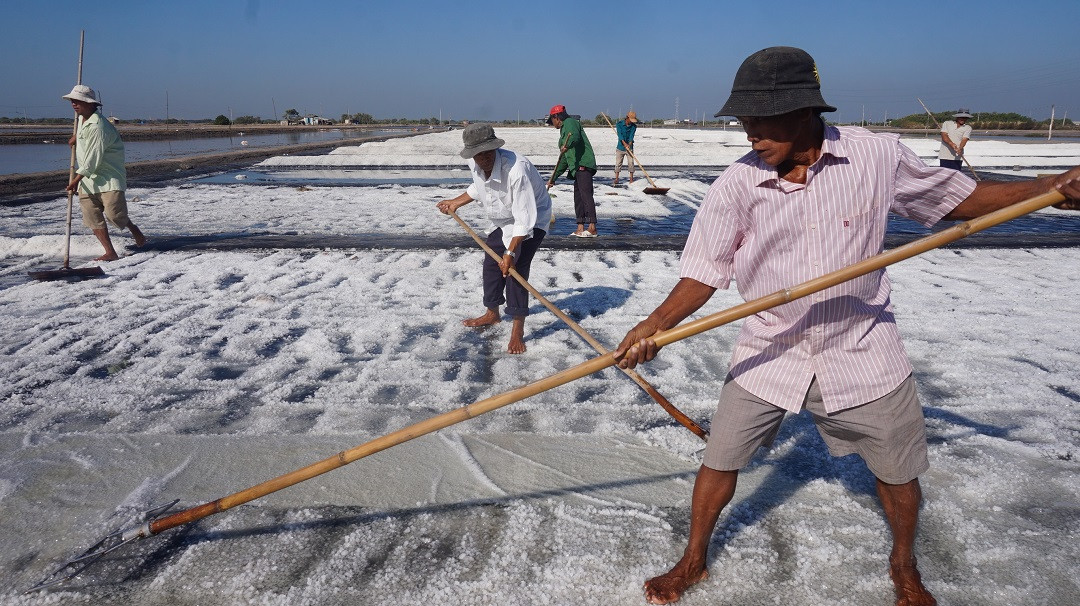 Cận cảnh 'nghề gieo nước biển' đầu năm ở phương Nam ảnh 5