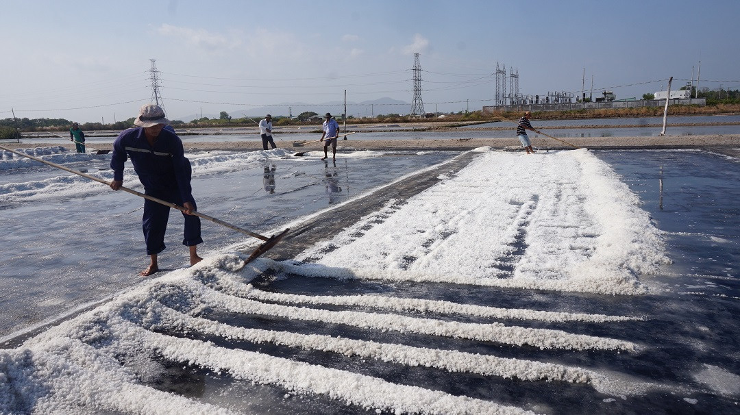 Cận cảnh 'nghề gieo nước biển' đầu năm ở phương Nam ảnh 2