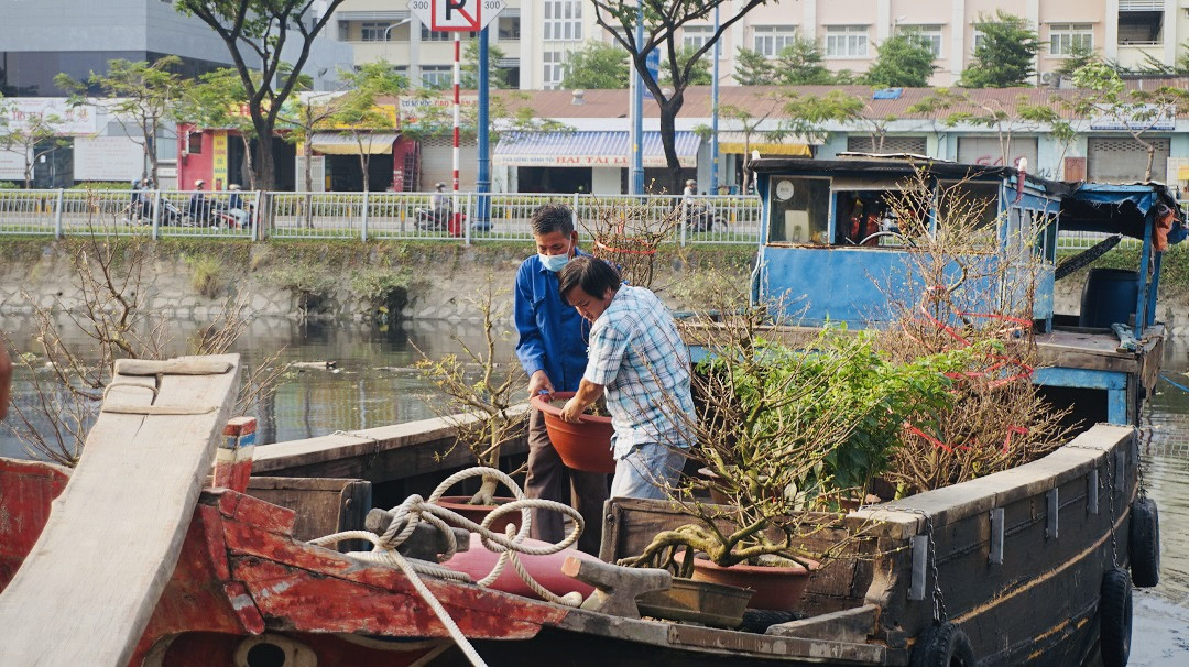 Sôi động cảnh hoa Tết miền Tây theo ghe lên thành phố ảnh 6