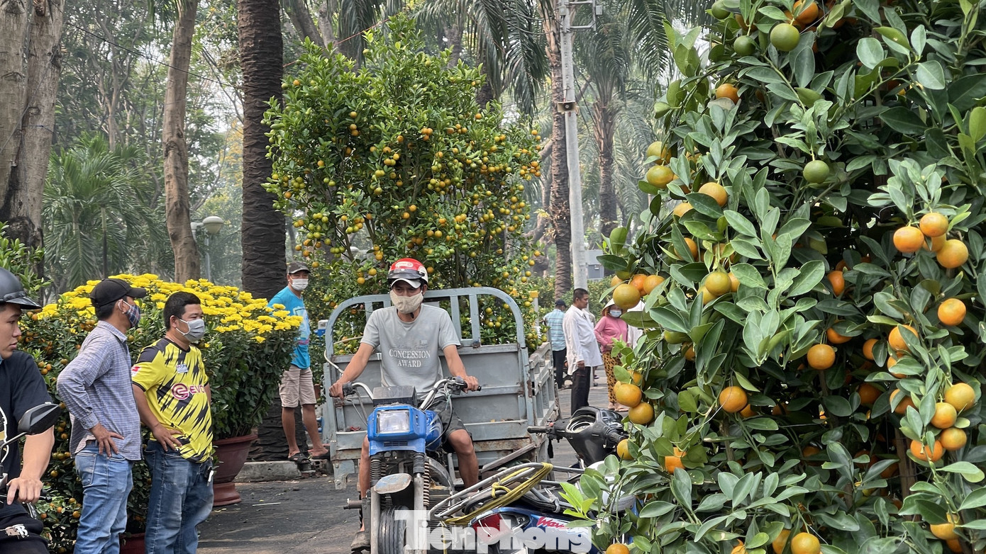 Chợ hoa lớn nhất Sài Gòn vắng khách ngày cận Tết ảnh 13