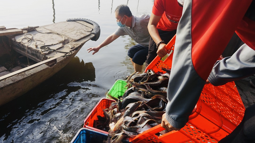 Người Sài Gòn đeo khẩu trang, thả cá chép đưa ông Táo về trời ảnh 4